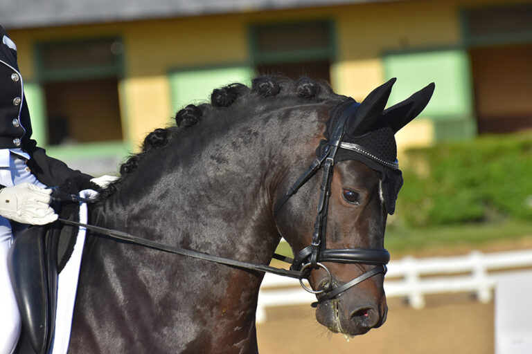 Bandro Hit - ph. Anaïs Barbier