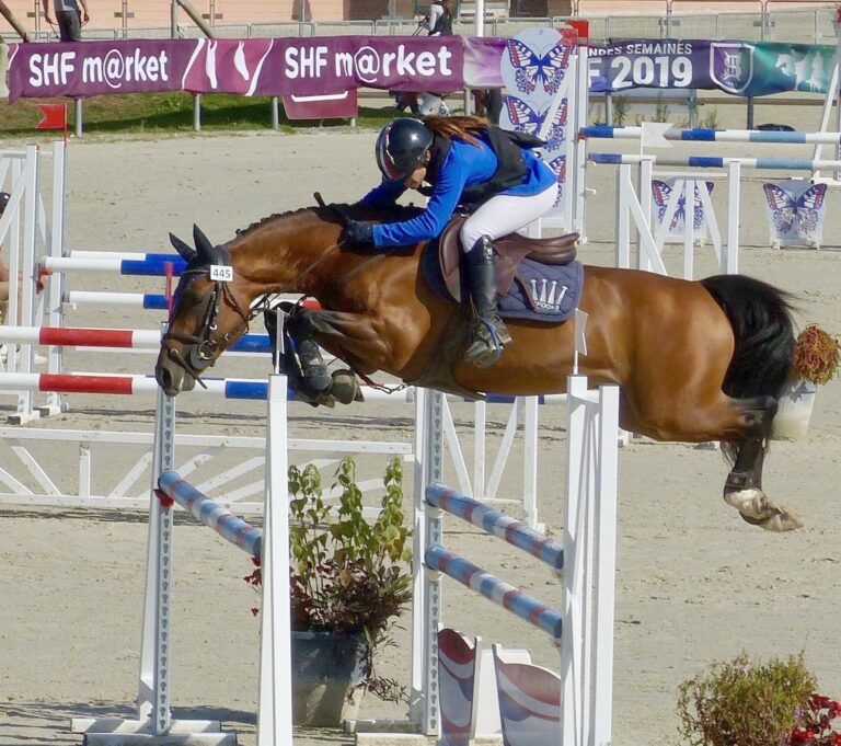 Dramairino de Florys