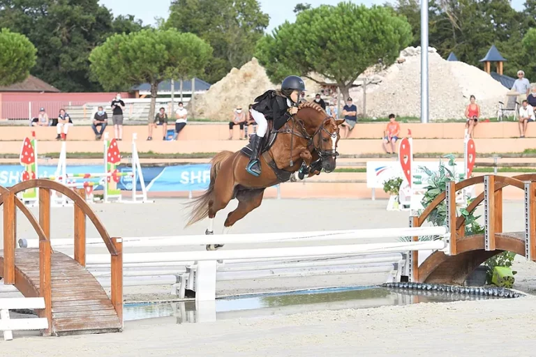 Foly Star de Florys - ph. coll. privée