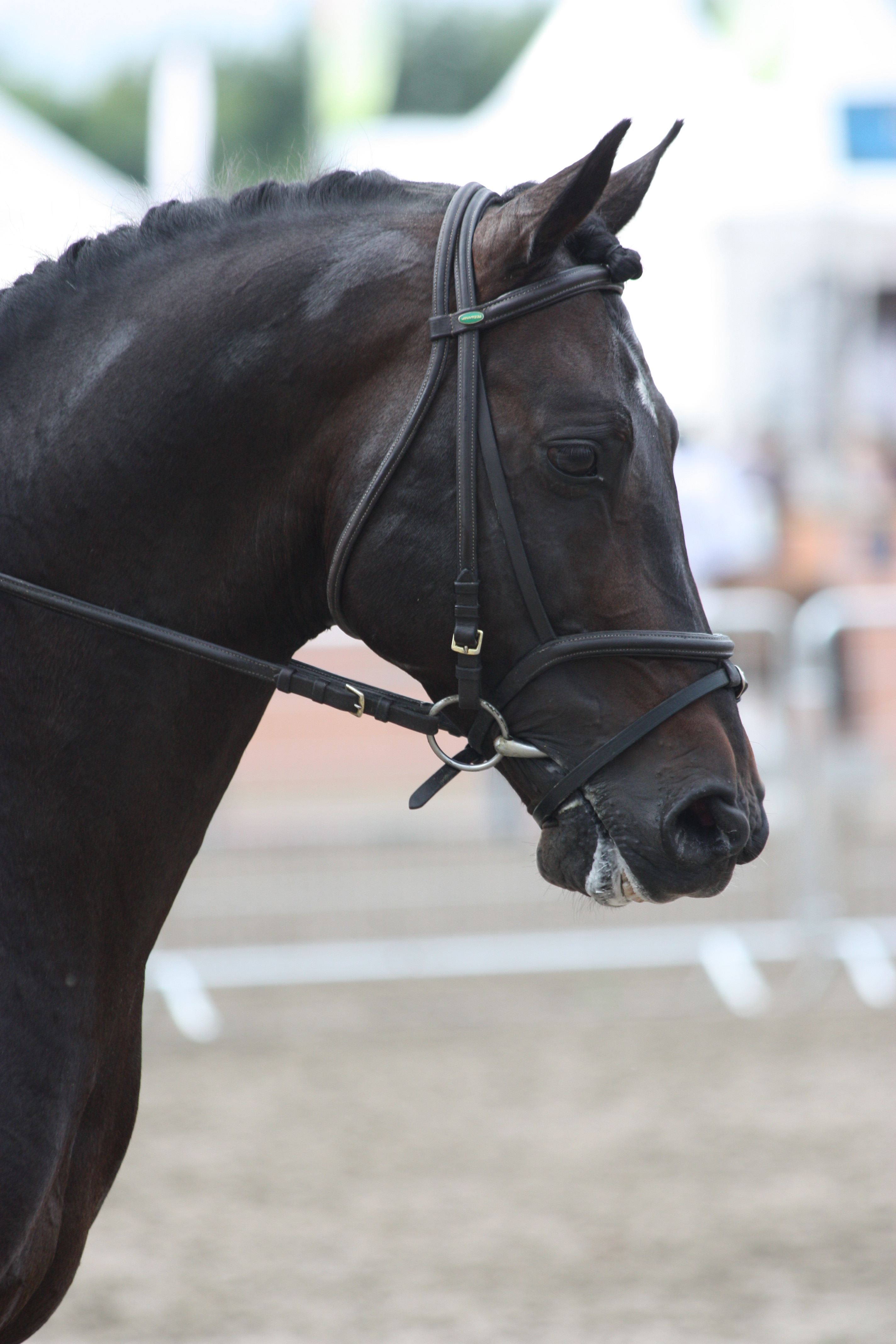 Mon Nantano de Florys