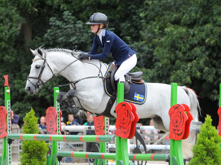 Vox Pop de l'Aulne - ph. Fotojob