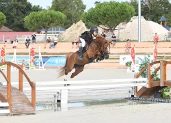 Foly Star de Florys étalon poney taille B