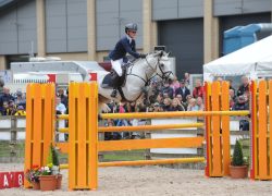 Vox Pop de l'Aulne, étalon Connemara